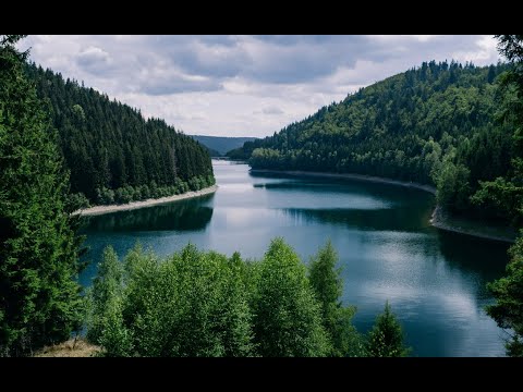 Waldgeräusche - Vögel zwitschern - Entspannungsmusik - Naturgeräusche - Ruhe und Gelassenheit