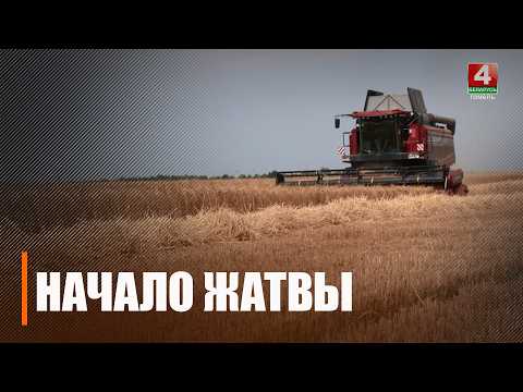В Гомельской области стартовала уборочная кампания-2026