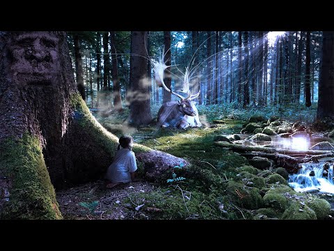 432Hz Celtic Music: The Most Magical Fairy Place You'll Ever Visit