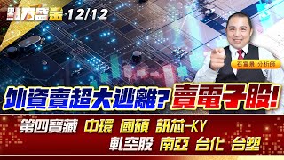 外資賣超大逃離?賣電子股!第四寶藏 #中環 #國碩 #訊芯-KY 軋空股 #南亞 #台化 #台塑《點石盛金》石富景