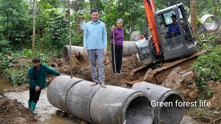Robert built a road across the stream and prepared to marry Mai. Green forest life 