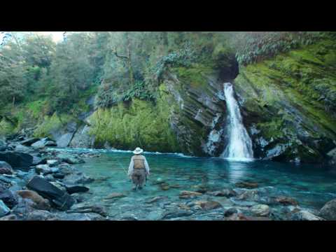 Gone Fishing NZ