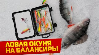 Ловля окуня зимой на московском море