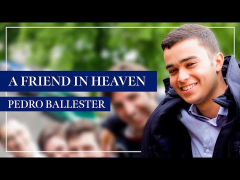 Prelature of Opus Dei and Opus Dei