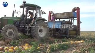 Big Size Watermelon and Pumpkin Seed Harvester | How does the Pumpkin Seed Picker Harvest Seeds?