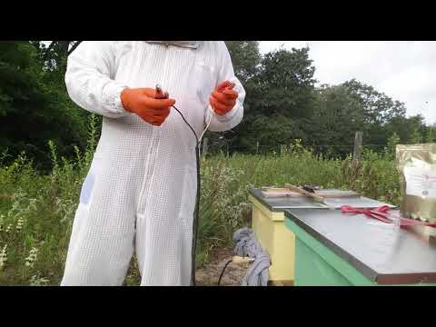 How to use an Oxalic Acid wand vaporizer