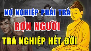 Trả Nợ Nghiệp Không Thoát – Nghe Một Lần Để Bớt Khổ | Nhân Quả Báo Ứng