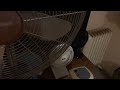 Goodmans 16 Inch Chrome Black Pedestal Fan VS Igenix 30 Inch White Tower Fan With Remote Control