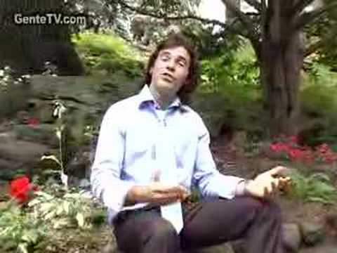 Amor de Artista - 2006