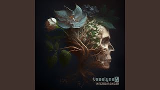 Vaselyne - Necromancer video