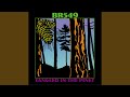 Tangled in the Pines