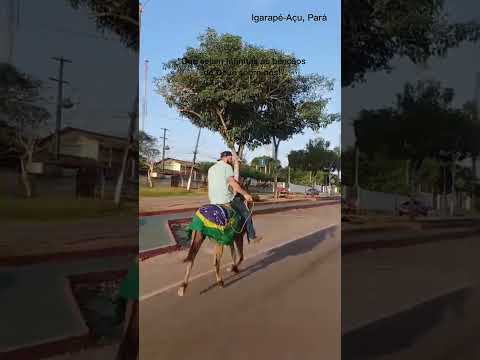 Igarapé-Açu, Pará #viral #reels #youtubeshorts #explore