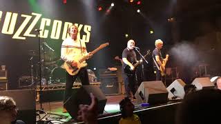 Buzzcocks love you more,Promises and What do I get. Rebellion 2018