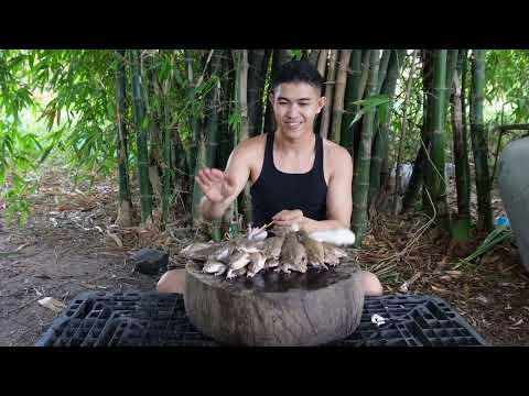 Cooking Delicious Frog Soup recipe.