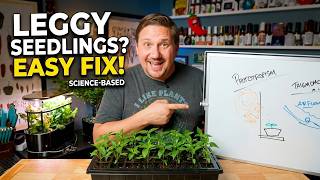 Rescue Your Leggy Seedlings With This Method