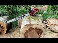 38cc Pro Chainsaw With 80cm Bar Shindaiwa 390sx