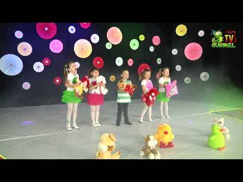 Doremicii - Gradinita