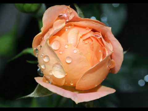 Nkole Mpakase - remix