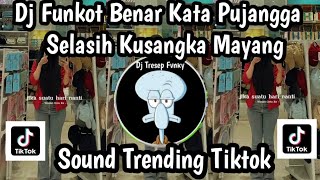 Download lagu DJ FUNKOT BENAR KATA PUJANGGA SELASIH KUSANGKA MAYANG ll BENCI KU SANGKA SAYANG SOUN TRENDING TIKTOK mp3
