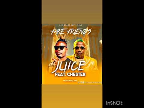 Juice Real_Fake Friends feat Chester (Official Visualizer)
