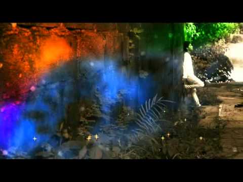 Zeffan - Dame Nangroe