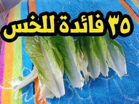 , title : 'فوائد الخس 35 فائدة لن تتخيلها فى اوراق الخس العظيمة !!'