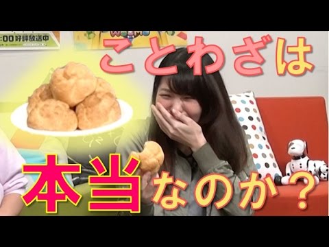 【毎日19時！立石学園】ことわざ検証してみた！