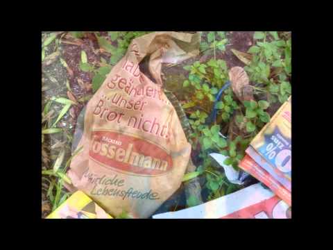 Beitrag zum Welternährungstag (Welthungertag) am 16.10.2013