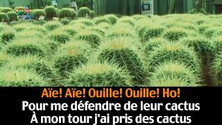 Les cactus &#39;&#39;Jacques Dutronc&#39;&#39;