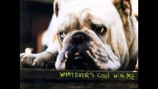 Dinosaur Jr. - The Little Baby