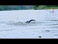 Uppum Mulakum Flowers EP 610