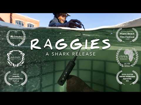 Raggies