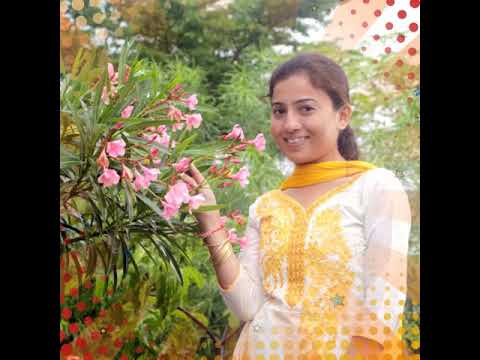 Ravina happy birthday