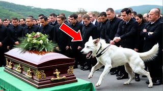 They Opened An Officer's Coffin Because His Dog Kept Barking Nonstop.Then A Shocking Event Unfolded!