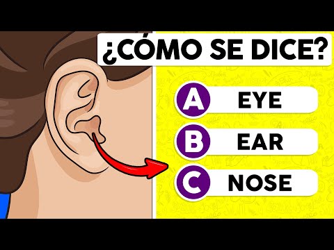 Parts of the Body in English | Multiple Choice Quiz ✅