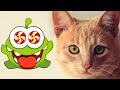 Om Nom Stories Om Nom And Cat Full Season 01 Funny Cartoons For Babies