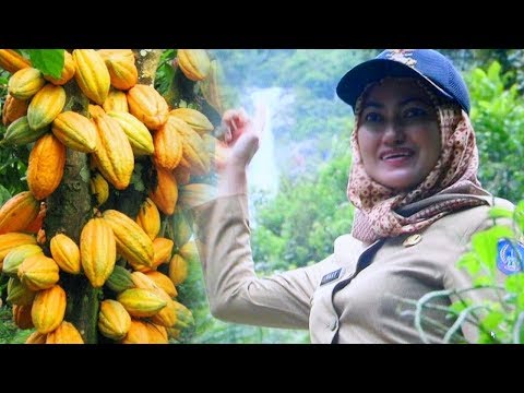 Biaya pembesaran penis di Krasnoyarsk Apa yang terbaik untuk jogging atau potensi binaraga