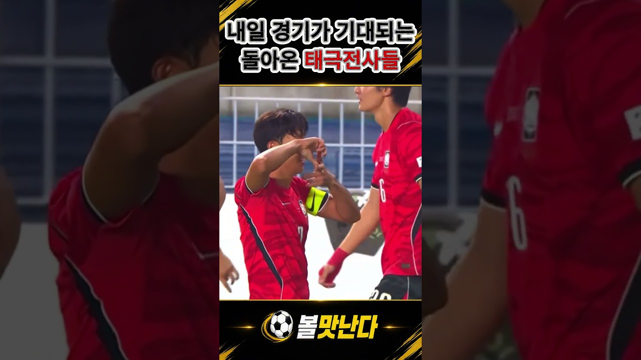 우루과이전 앞두고 다시보는 에콰도르전 #손흥민 #한국축구