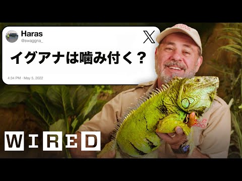 爬虫類の専門家だけど質問ある？ | Tech Support | WIRED Japan