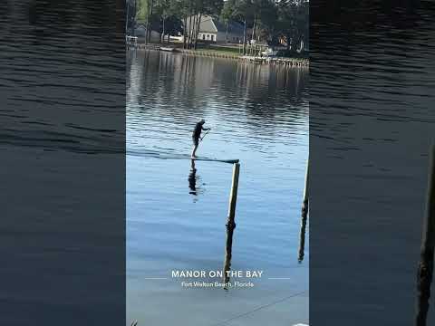 #fedorakov #happy #water #peopleofwalmart #PeopleOnBeach #peopleinnature #beach #beachwalk #sumaya