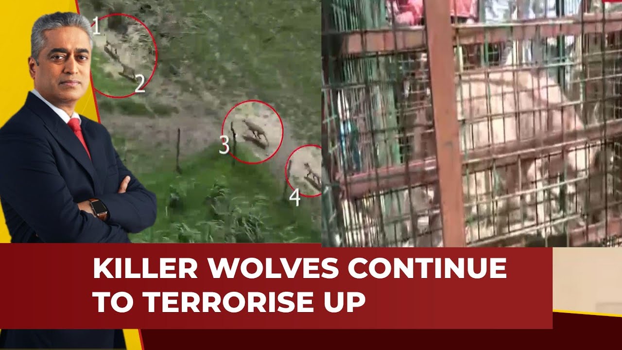 Hunt For The Man-Eating Wolves Of Uttar Pradesh Continues | News Today With Rajdeep Sardesai