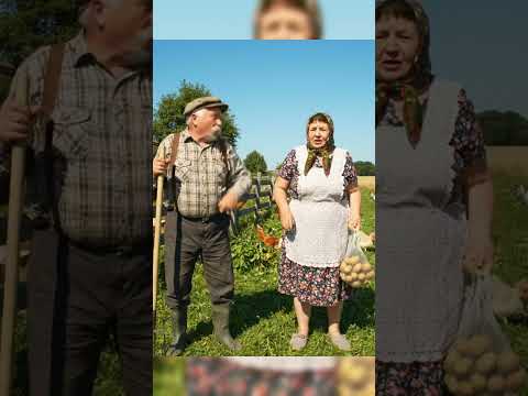 ŚWINIA do STUDNI WPADŁA... Tadziu biegnie na pomoc