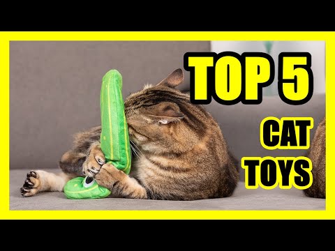 TOP 5: Best Cat Toy for Active Cats 2022 | Interactive Toys
