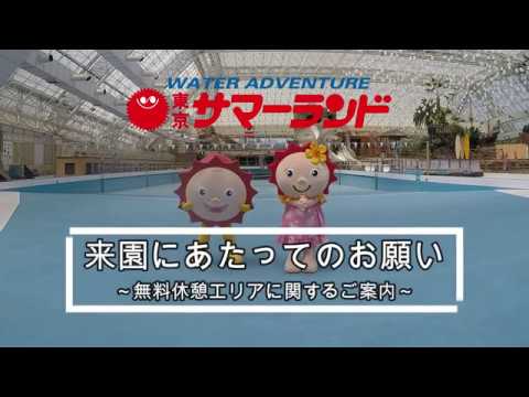 piscine extérieure encastrée couverte pierre plantes