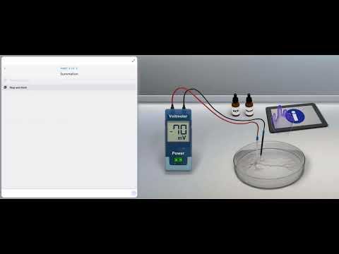 Action Potential Initiation