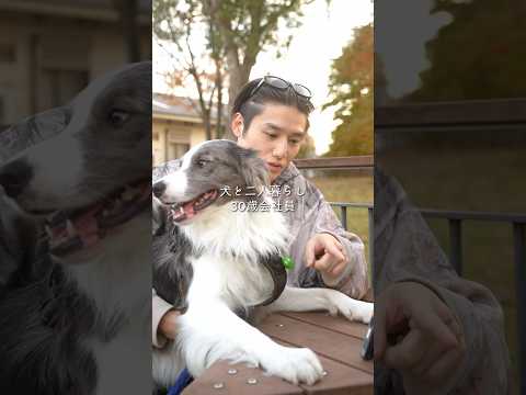 #TORRAS #Ostand #Q3Air #スマホケース #iPhone#PR