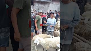Download lagu pasar kambing di Sanggrahan pakis Magelang mp3