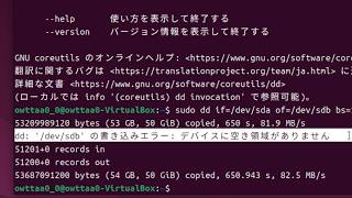 【試行錯誤】仮想ディスクの中身をより小さなディスクに移行してみた話