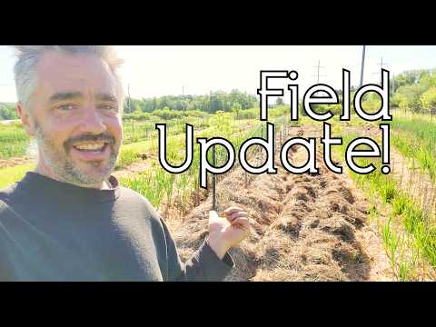 Garlic Growing and More at the Field!