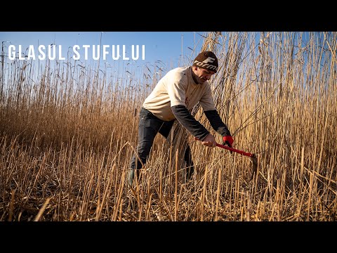 Glasul Stufului #Lipovenesc